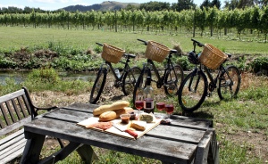 bike hire picnic